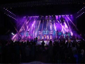 Elite Weddings India LLP