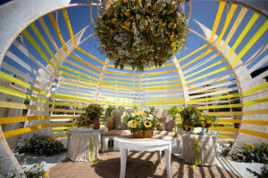 IWP – Indian Wedding Planners